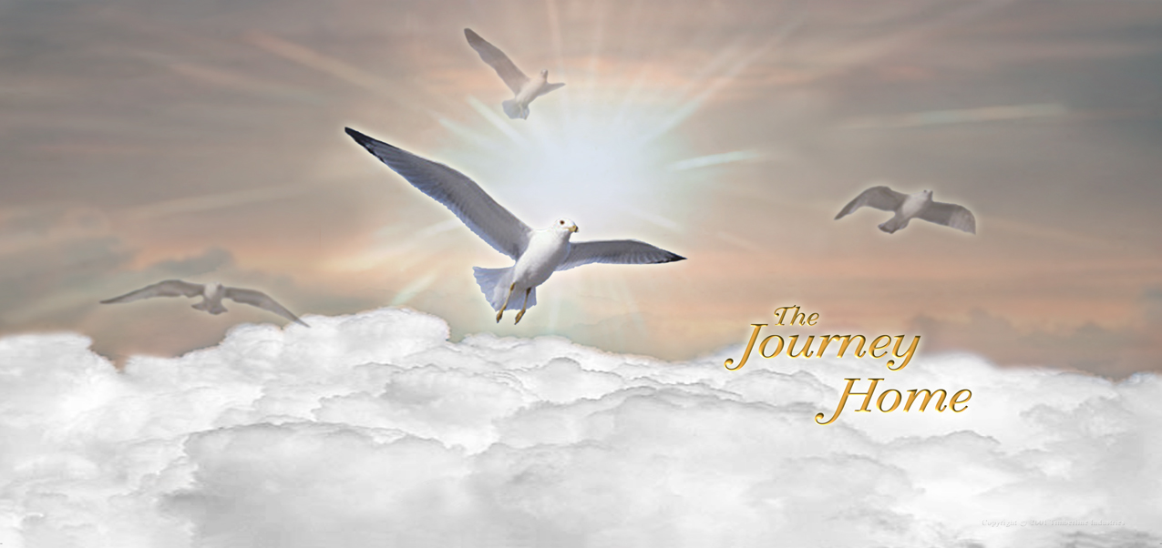 HP-AG-101-BZ Journey Home Bronze